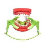 Dental Orthodontics Materials Nitinol Open Coil Spring 200g 7 inch 17.5cm with