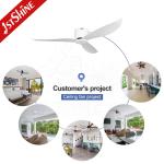 White Modern Flush Mount Ceiling Fan , DC Motor Kitchen Fan Light