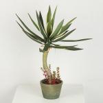 66 CM 86 CM 88 CM Artificial Agave Americana For Home Decoration