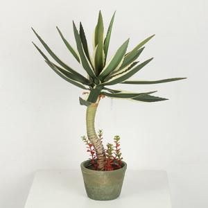 China 66 CM 86 CM 88 CM Artificial Agave Americana For Home Decoration wholesale