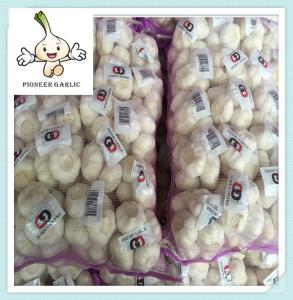 China Supply good farmer garlic low price best quality 4.5CM Chinese Fresh Red Garlic wholesale