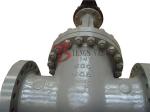 Petrochemical Industry Cast Steel Gate Valve 600LB Bolted Bonnet Design