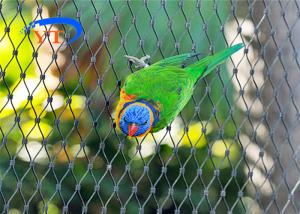 China Diamond Shape Stainless Steel Bird Mesh Ferruled Type Or Bird Netting wholesale