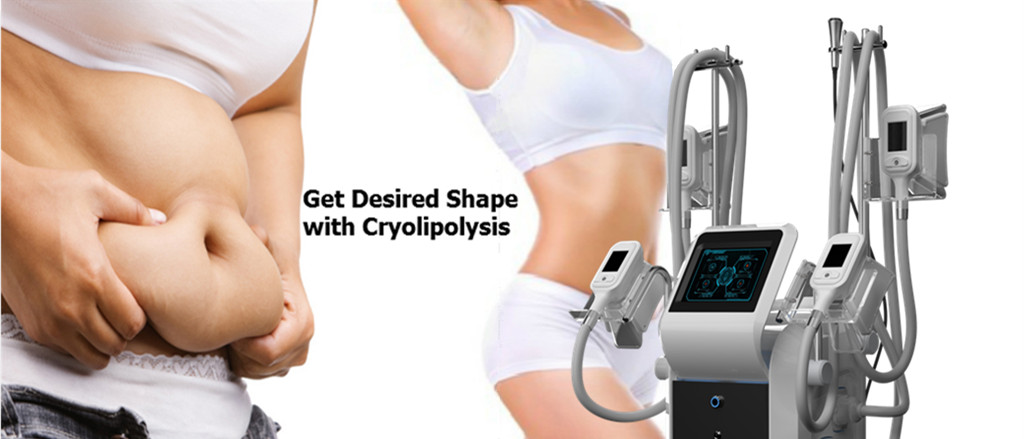 2018 newest  freeze fat body slimming 4 handles cryolipolysis 