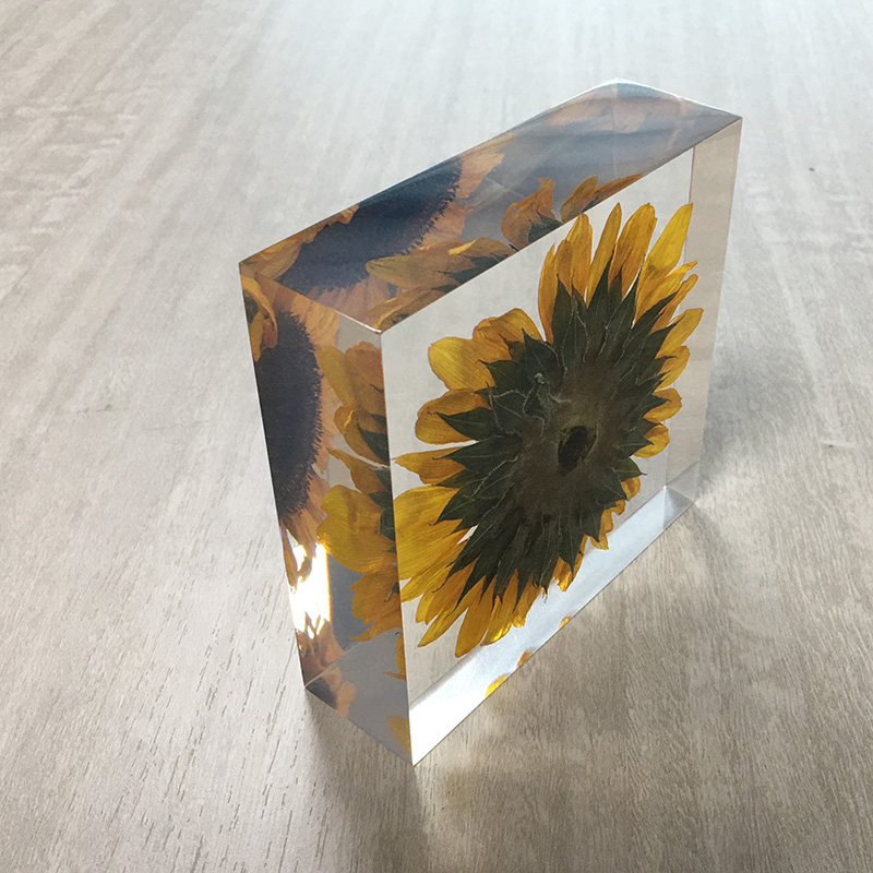 Cubic acrylic resin paper weight with insect and flowers inside acrylic paperweight