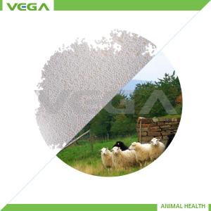 China 10% Enrofloxacin Micro-capsule China GMP Manufacturer wholesale