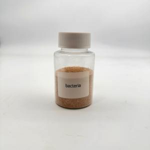 China 2 Years Shelf Life Water Treatment Bio Bacteria Non-toxic Environmentally Friendly with ISO 14001 Certification wholesale
