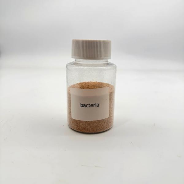 Non Toxic Environmentally Friendly Water Treatment Bio Bacteria High Concentrati