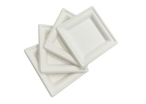 China 100% Compostable 6 Inch 10g Sugarcane Waste Plates wholesale