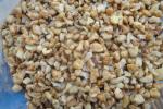 Walnut Kernel —Light Pieces(LP)