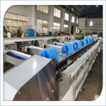 Automatic Electronic Fruit Washing And Waxing Machine 5MT/H