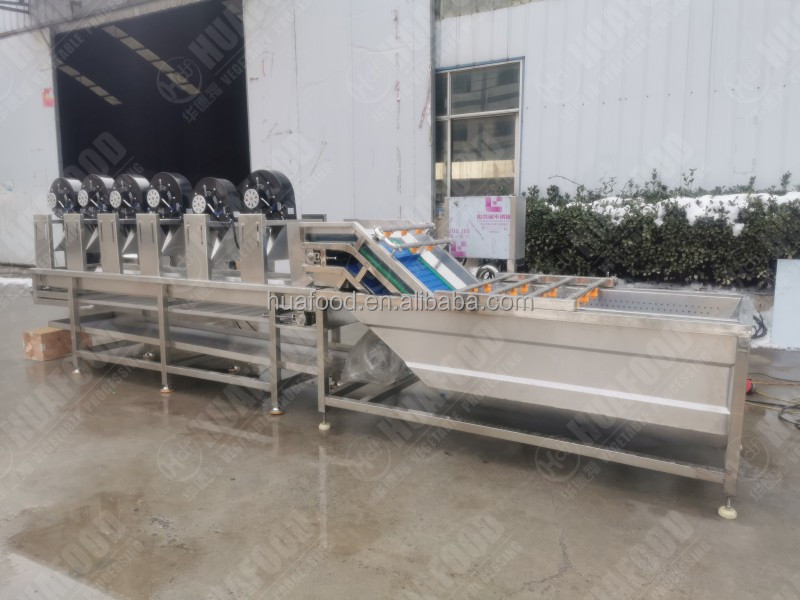 SC Series Processing Line Easy operation potato washing plant/ vegetable bubble washing machine/ soybean washing machine