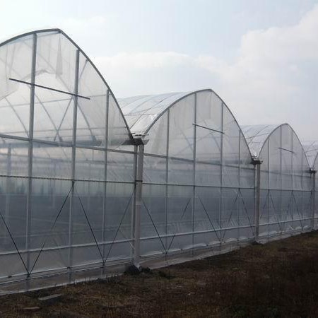 Vegetable Polyethylene Plastic Sheeting Greenhouse Galvanized Steel Frame