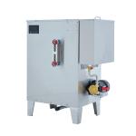High Pressure Small Scale Steam Generator 48KW Electric Steam Power Generator