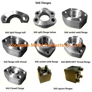 China SAE flanges to standard ISO 6162-1/2, SAE J518C, for hydraulic pipe connection wholesale