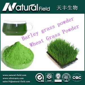 China Cure angiocardiopathy and Food supplement organic barley grass powder wholesale