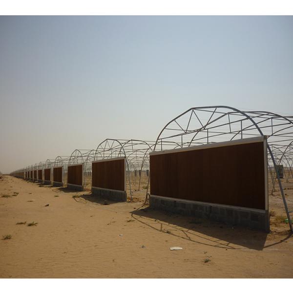 10m Width Tunnel Light Deprivation Greenhouse Single Layer With Galvanized Steel Pipe