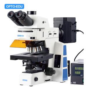 China M16.5850 Fluorescent Motorised Microscope Bf 2d Xyz wholesale
