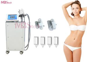 China 2 In 1 Cryolipolysis Slimming Machine wholesale
