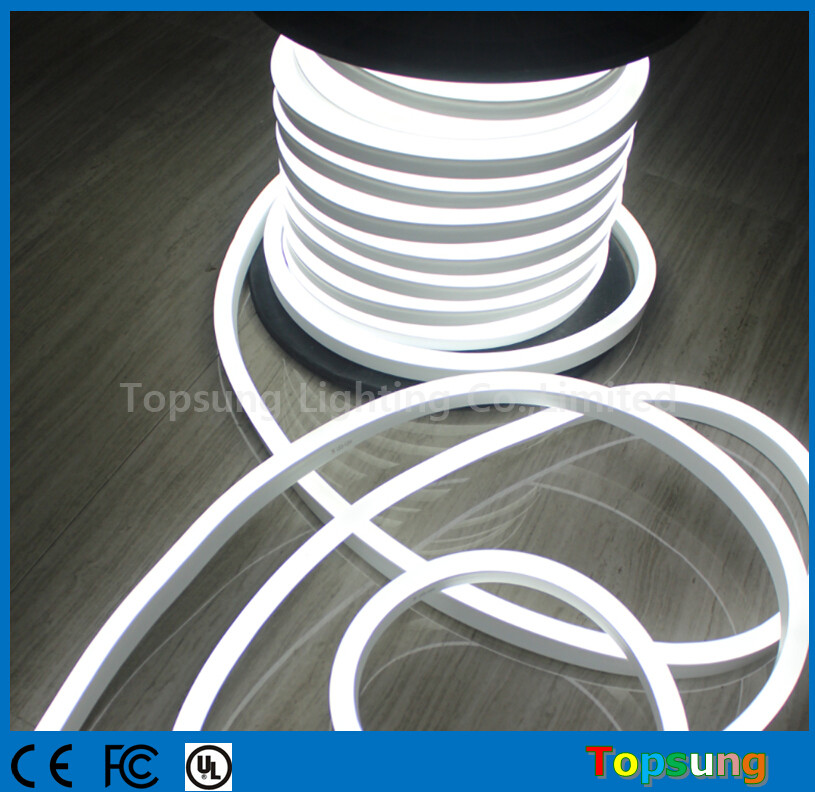 50m Decorative Led Rope Light 220v Long Life And Durability