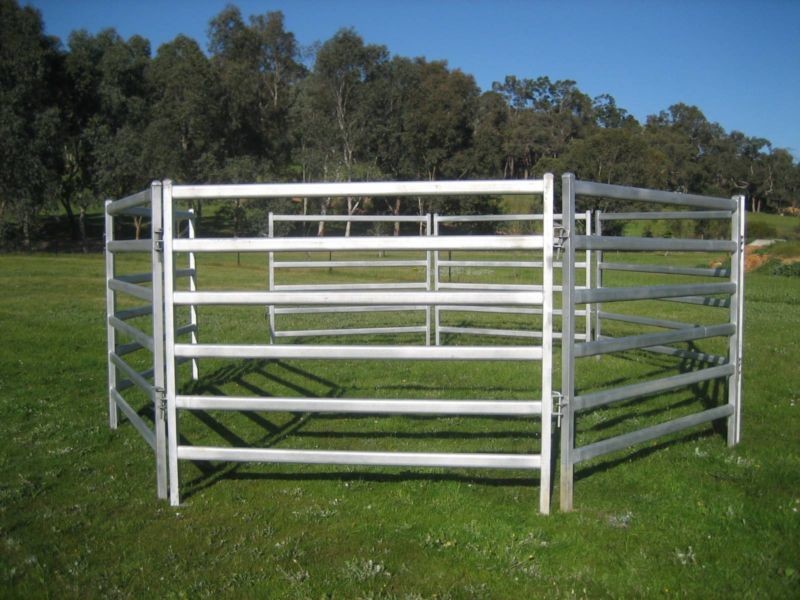 Used Cattle Yards For Sale From Budget To Extra Heavy Duty Cattle Panels