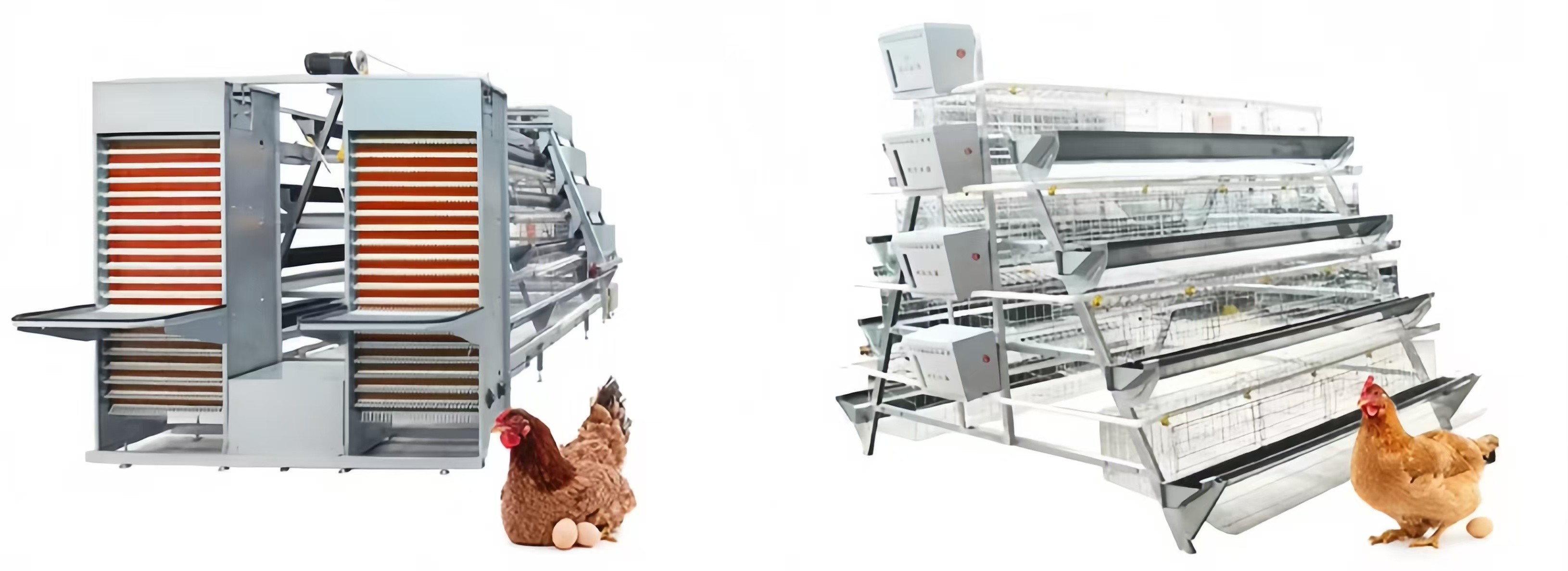 Automatic Layer Battery Chicken Cages 4 Tiers 5 Tiers Agricultural Poultry Farming Cage