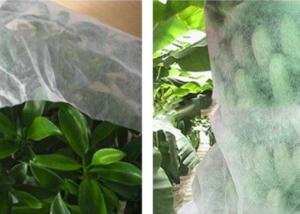 China Good Transparency Agriculture Non Woven Fabric Non - Poisonous Frostproof Fabric wholesale