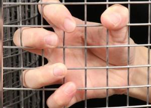 China Building 6mm Wire Mesh Panels Ss316 Silver Galvanised wholesale