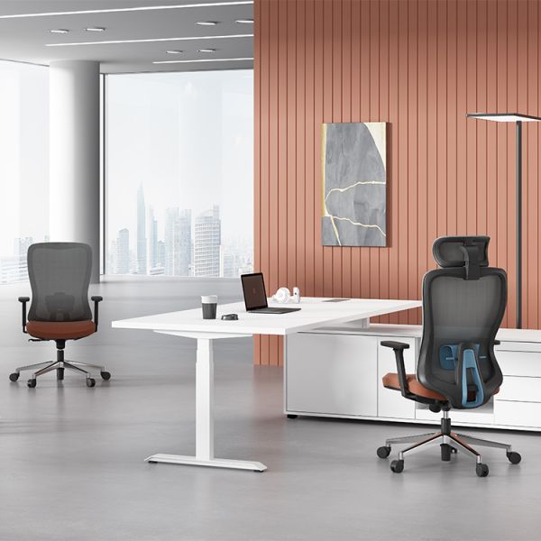 Factory Directly Comfortable Ergonomic Support Swivel Mesh Chairs Manager Staff Computer High Back Office Chair