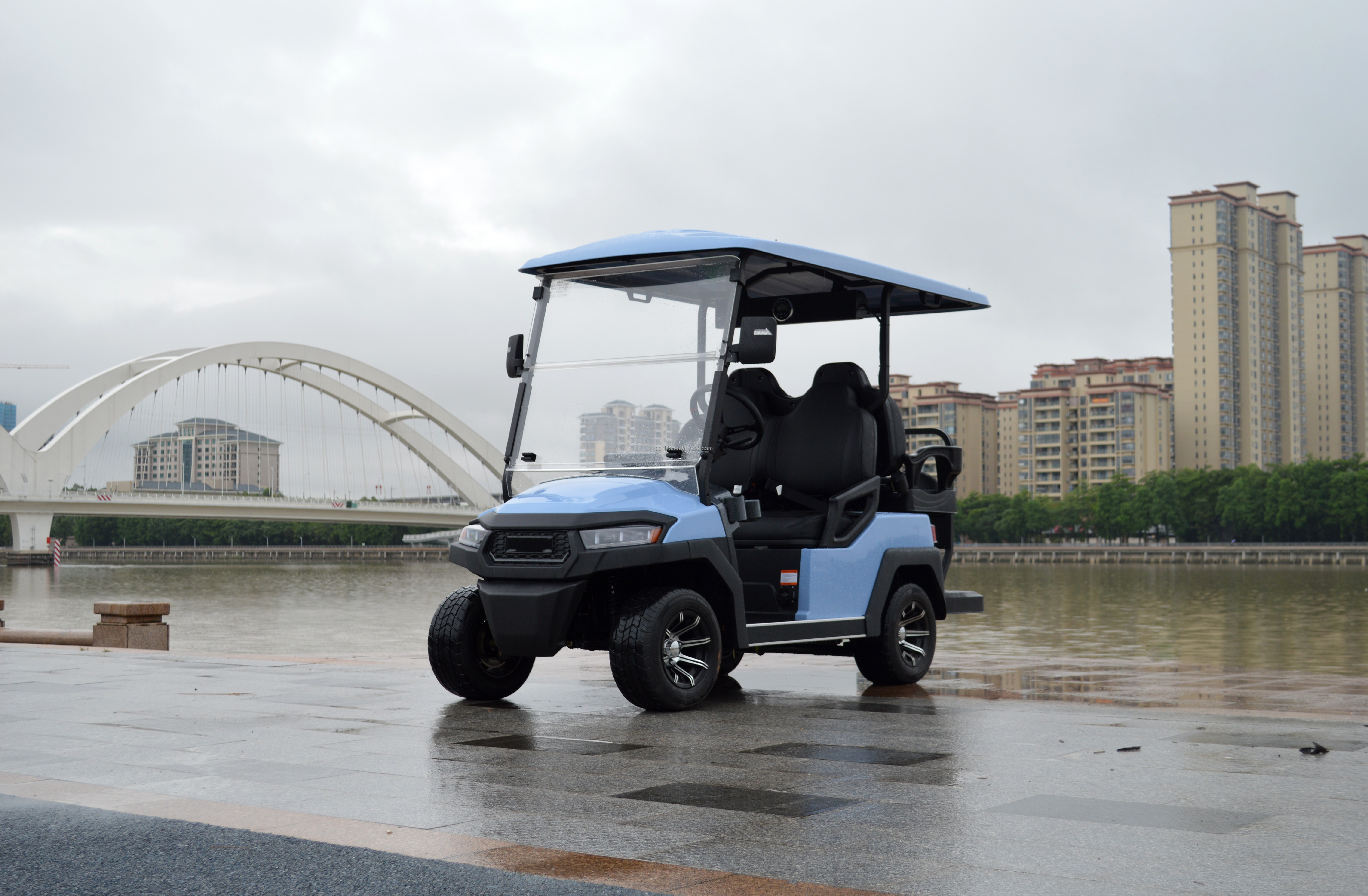 2 4 6 Seat Electric Lithium Battery Sightseeing Golf Cart Golf Buggy Car with DOT Comfortable and Spacious