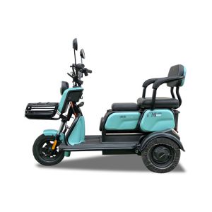 China Convenient Leisure Electric Tricycle 600W Leisure Tricycle Electric Bike on sale