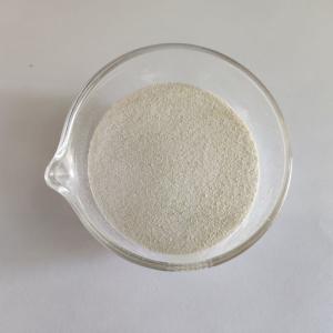 China Highly Active Endo Bakery Enzyme Xylanase In Food For Flour Improvement wholesale