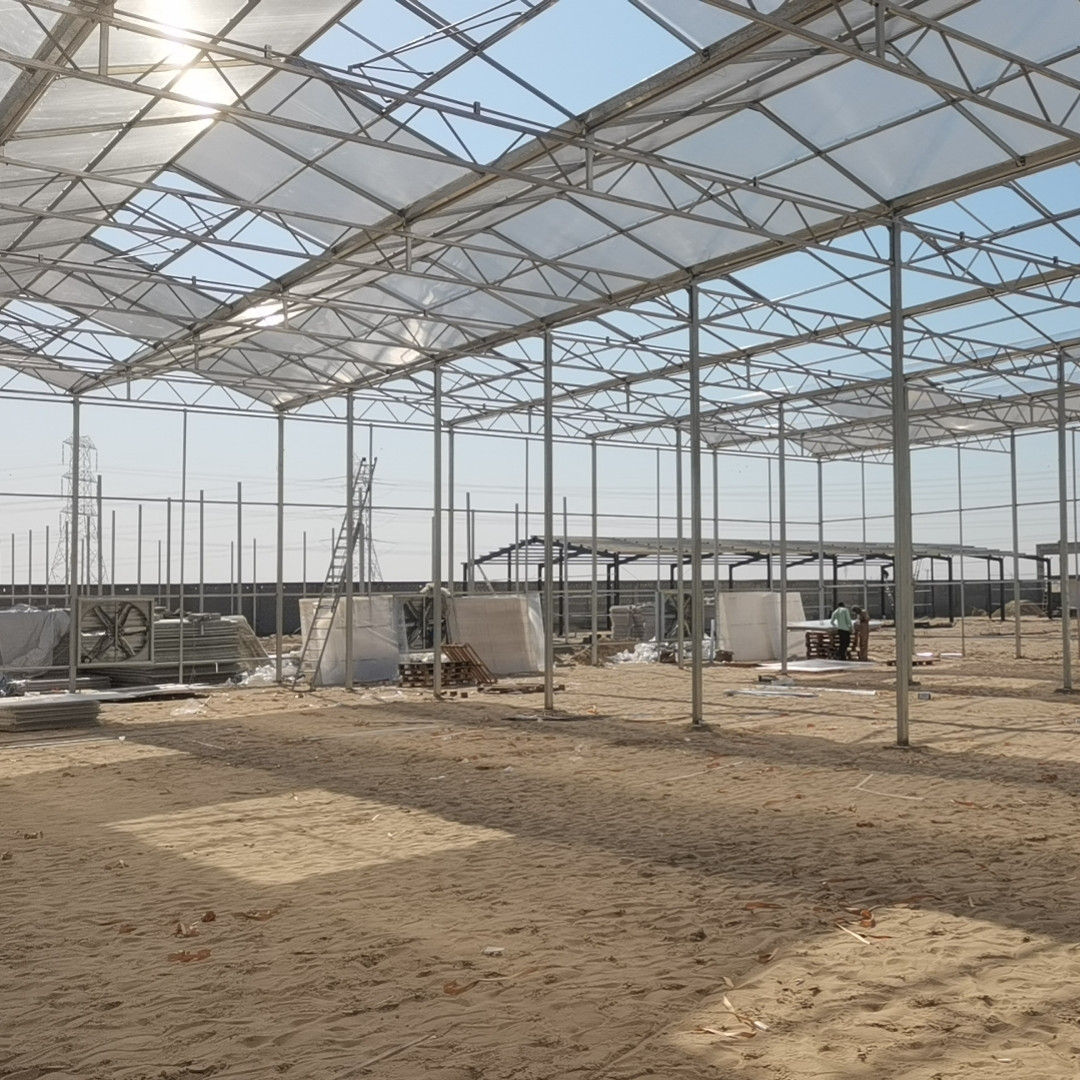 Modern venlo hot dip galvanized steel pipe polycarbonate greenhouse structure Multi-Span Commercial pc sheet green house cooling system