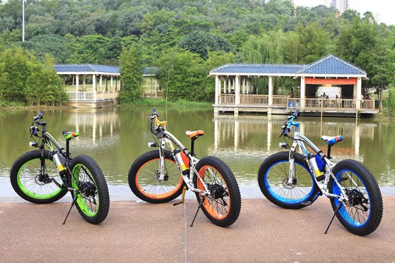 Fork Suspension 4.0 Fat Tire 350 Watt MTB Electric Bikes