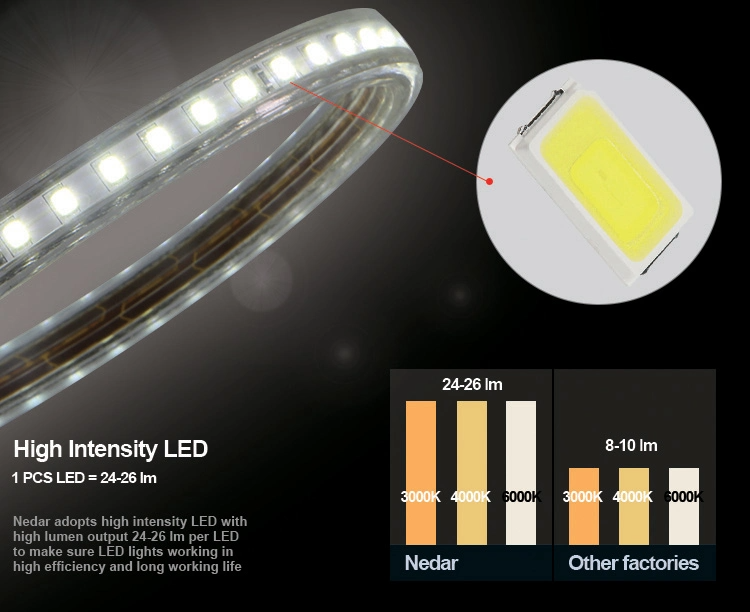 120 LEDs Flexible Tape Lamp with IC Home Lighting 110v/220V 2835 LED Strip Light Waterproof IP65