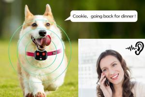 China 35g Black Smart Dog Collar Gps Tracker Low Battery Alarm wholesale