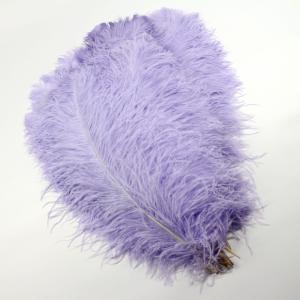 China Carnival Costumes Decoration Millinery Feather , Ostrich Plume Feathers Multi Colored wholesale