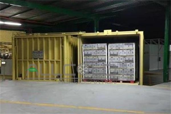 Automatic Vacuum Cooling Machine For Leafy Vegetable / Edible Fungi / Oyster / Mushroom