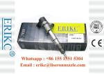 ERIKC 0445110335 common rail direct injection 0 445 110 335 Auto Electric Fuel