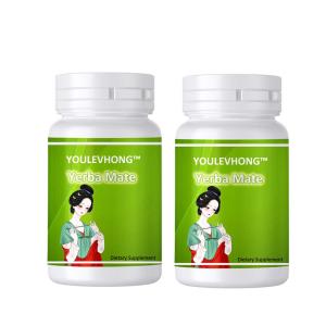 China Yerba Mate Leaf Capsules Your Daily Energy Dietary Supplement Natural wholesale