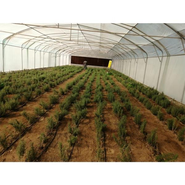 200 Micron Single Span Greenhouse High Capacity Plastic Film Greenhouse