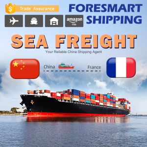China China To France International Ocean Freight Shipping on sale