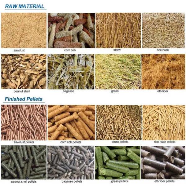 132KW Vertical Ring Die Wood Pellet Mill Machine 2t/h production capacity