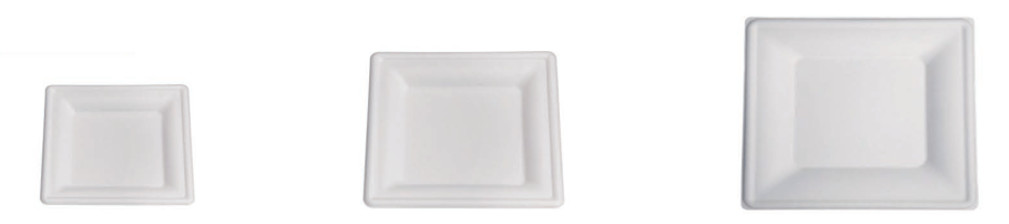 Compostable Biodegradable Disposable 9inch 10inch Sugarcane Sugar Cane Bagasse Party Dinner Plate