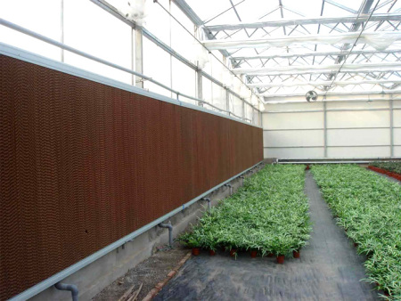 Long Use Time Chicken Farm High Water Resistant Outdoor Cooling System for Chicken House Evaporative Cooling Pads