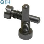 Stainless Steel Round Head Bolt Non Standard 304 316