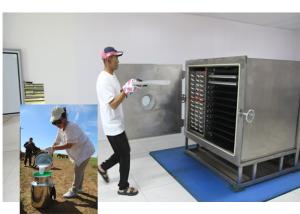 China Air Cooled Food Freeze Dryer With Leybold Refrigeration System wholesale