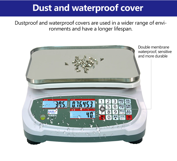 High Precision Balance and Multi-function Multi-Equipment for Industry Weighing Scale