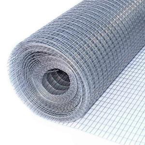 China 0.6mm Diameter Electro Galvanized Welded Wire Mesh 40x40mm wholesale