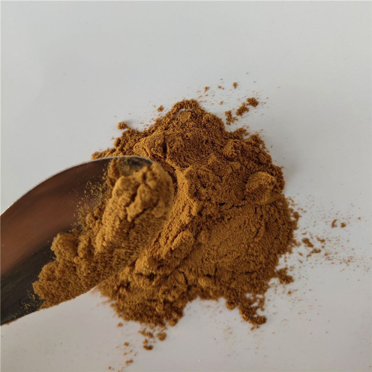 health care product nutrition supplement Notopterygium extract with best price